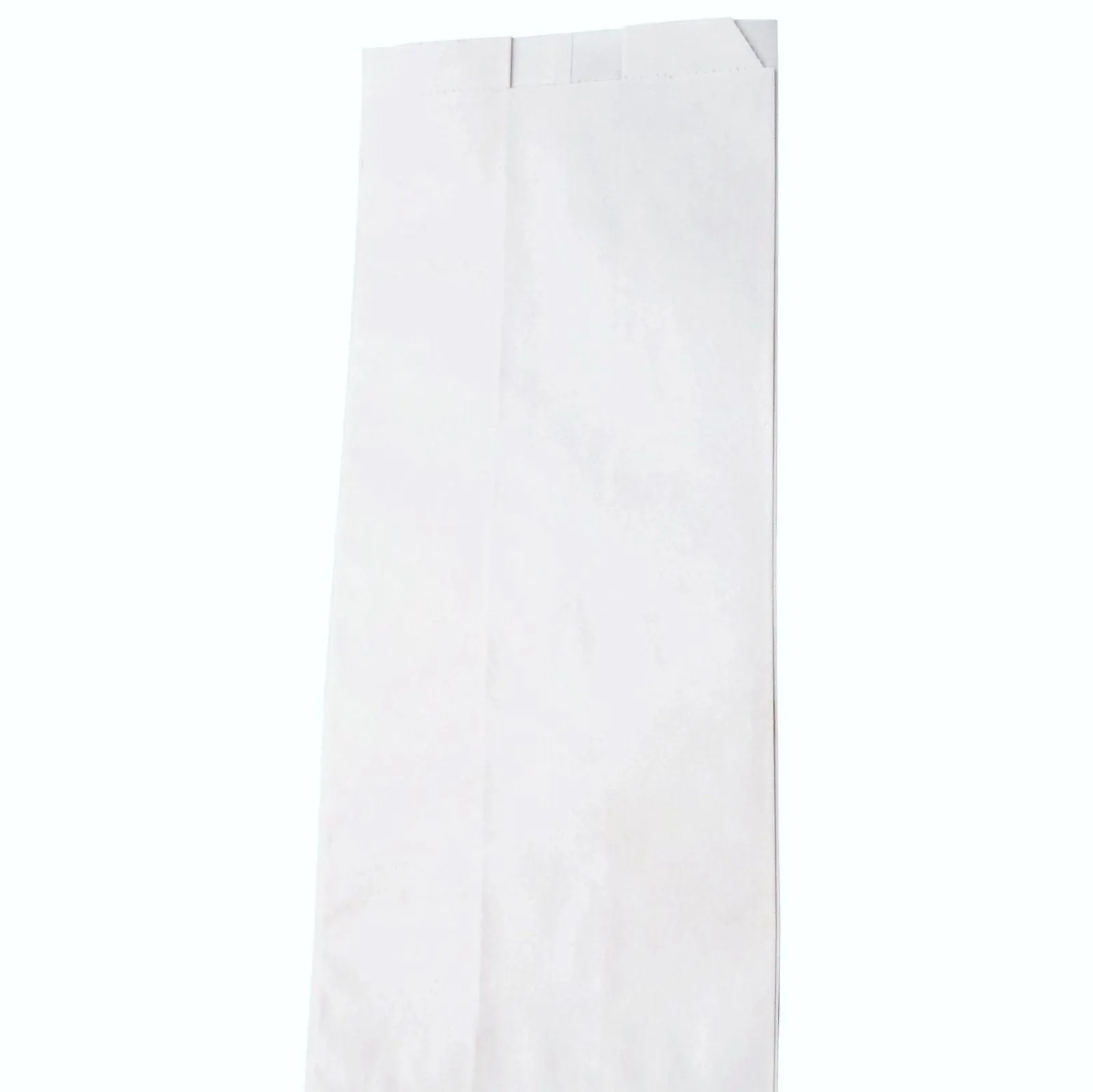 Paper Bags White 100 Pcs